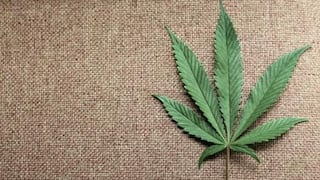 Fármaco basado en cannabis falla en aliviar dolores del cáncer