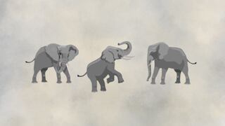 Uno de estos elefantes te indicará si sueles decir mentiras con frecuencia