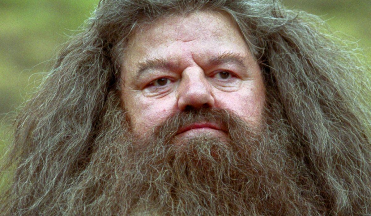 Rubeus Hagrid luchó por varios años con los fuertes dolores que le provocó la osteoartrosis (Foto: Warner Bros. Pictures)