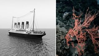 Misterio resuelto: descubren qué es el extraño sonido que viene del Titanic
