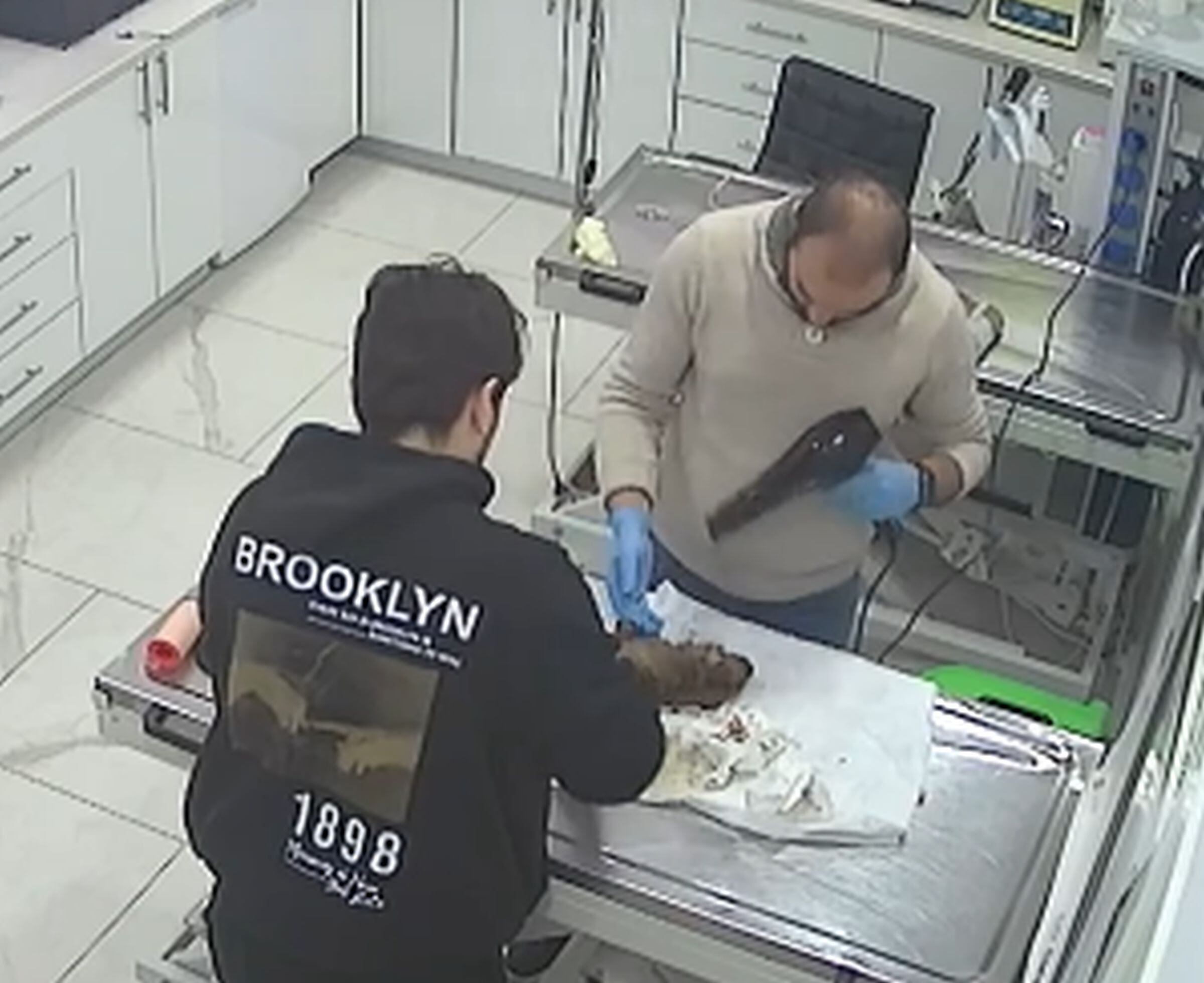 Como el cachorro estaba inconsciente e hipotérmico, los veterinarios buscaron la manera de reanimarlo y calentarlo. (Foto: @beylikduzu_alfa_veteriner / Instagram)