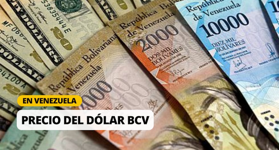 DolarToday y Monitor Dólar hoy, 7 de junio 2024: Precio del dólar en Venezuela | Foto: Diseño EC