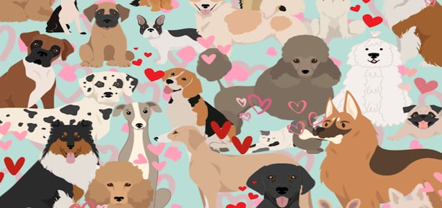 Encuentra al gatito camuflado entre los adorables cachorros