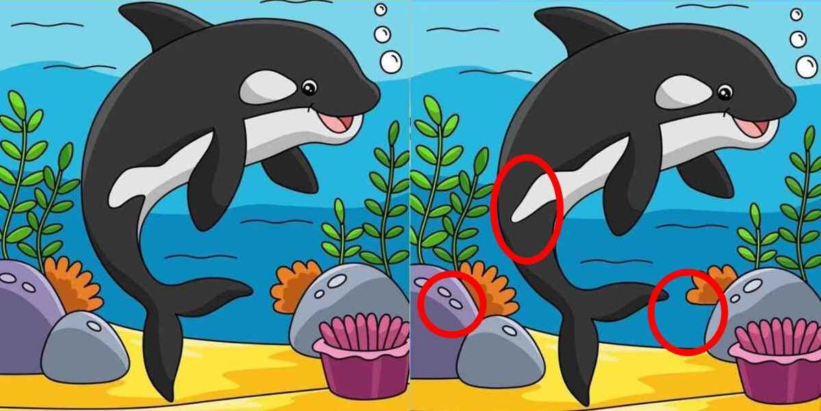 Si te gustó participar en esta actividad, continúa y compártela con tus familiares y amigos para ver quién la resuelve en el menor tiempo.