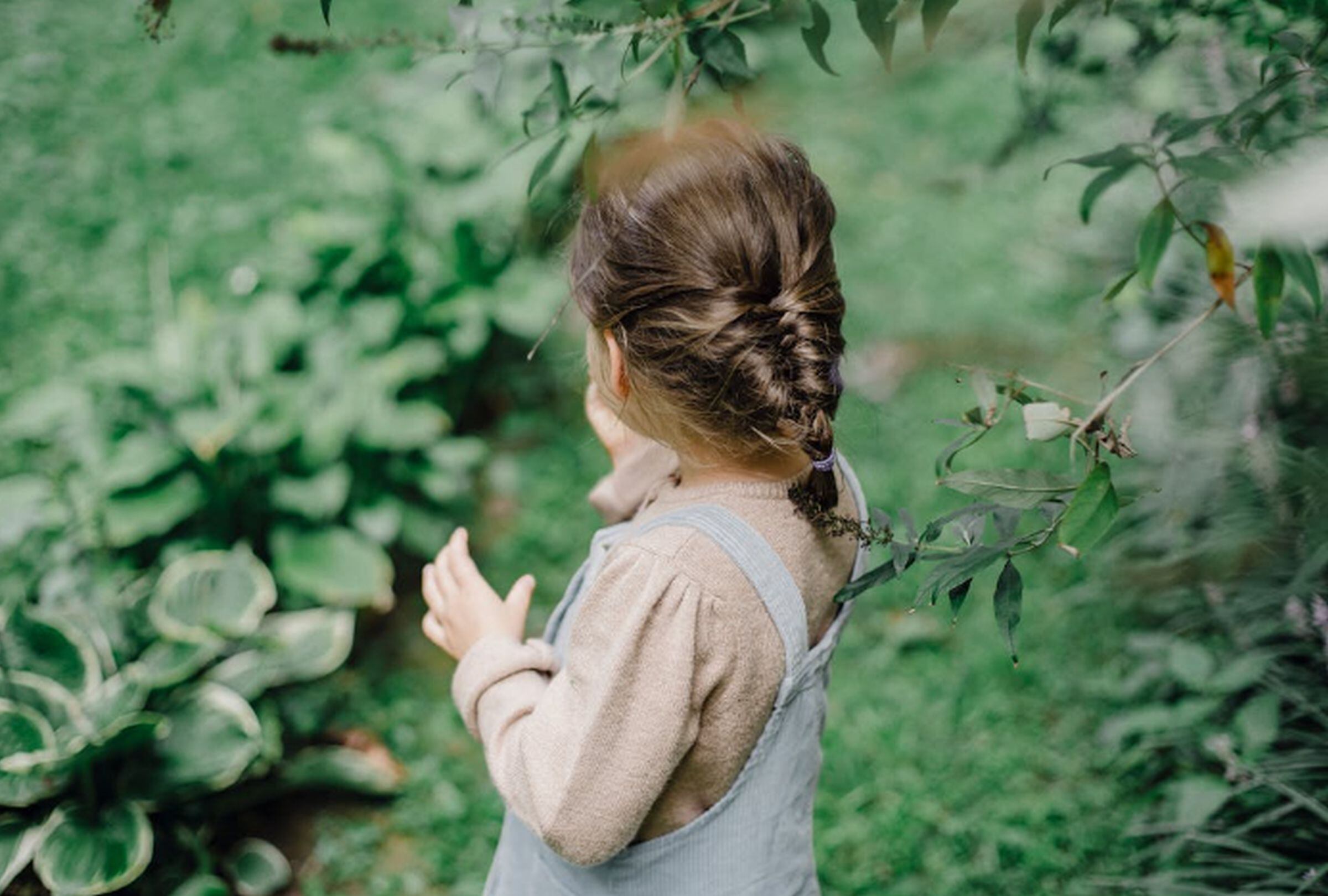 VIRAL | En esta imagen referencial se aprecia un jardín con valla. (Foto: Anastasia Shuraeva / Pexels)