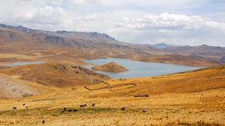 Arequipa: promueven nueva ruta turística en el valle de Majes
