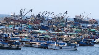 Produce: actividad pesquera tuvo un crecimiento de 320% en mayo