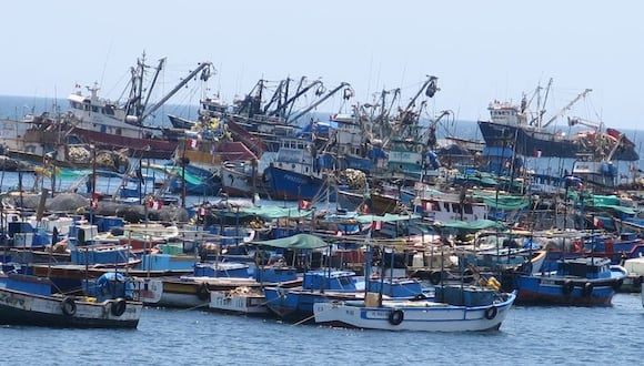La actividad pesquera tuvo un crecimiento de 320% en mayo, informó el Ministerio de la Producción.