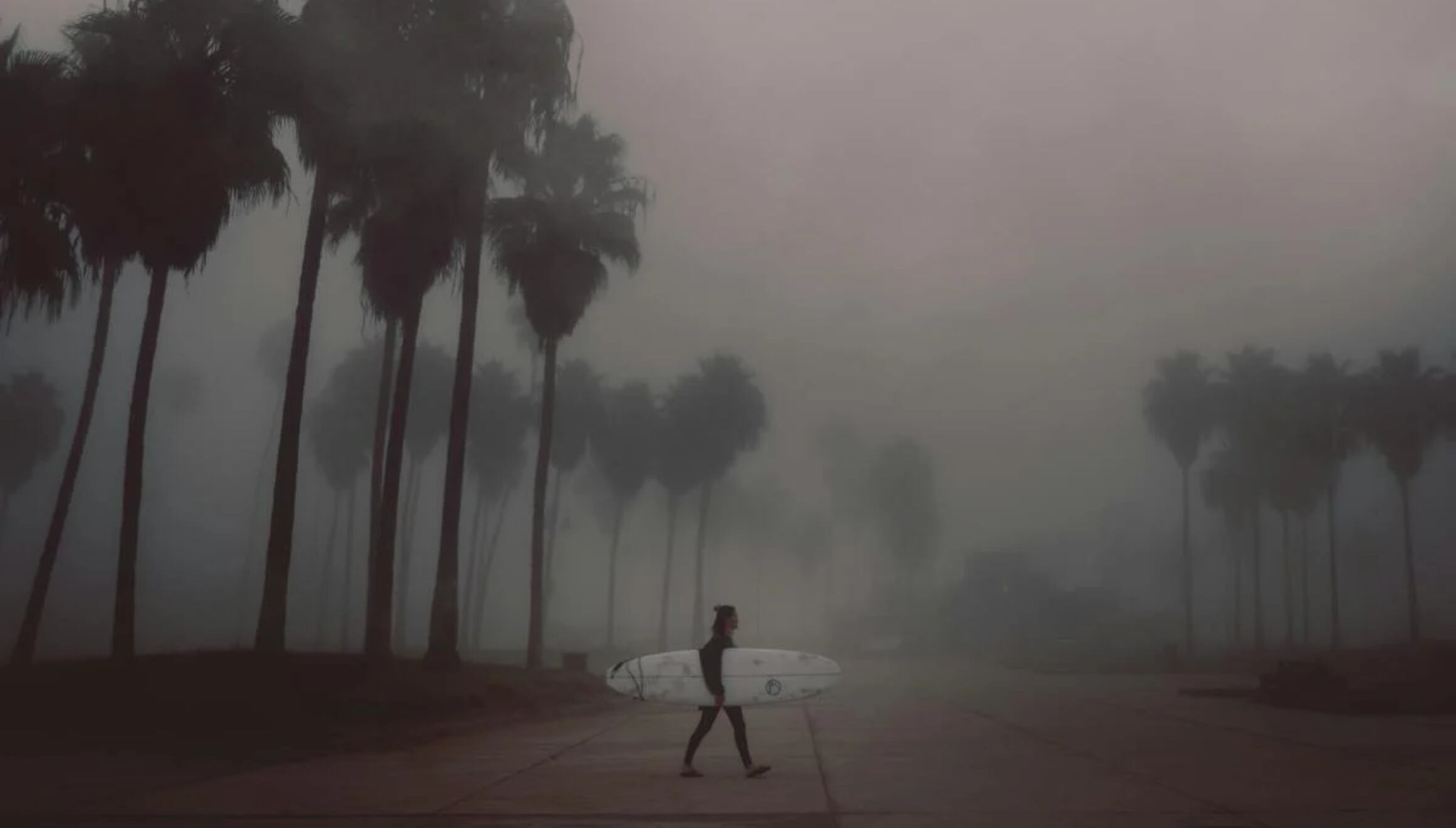 Un surfista se retira a un lugar seguro a poco tiempo de una tormenta (Foto: Pexels)