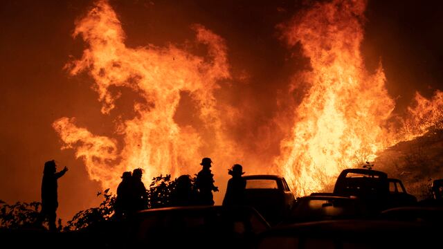 Comuna de Ránquil: qué se sabe de la alerta roja declarada por incendio forestal