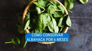 El truco para conservar albahaca por varios meses