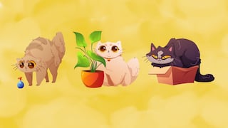 Una elección bastará: Descubre qué te está generando inseguridad con este test de personalidad