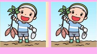 Encuentra las 3 diferencias en 26 segundos en este reto visual agrícola