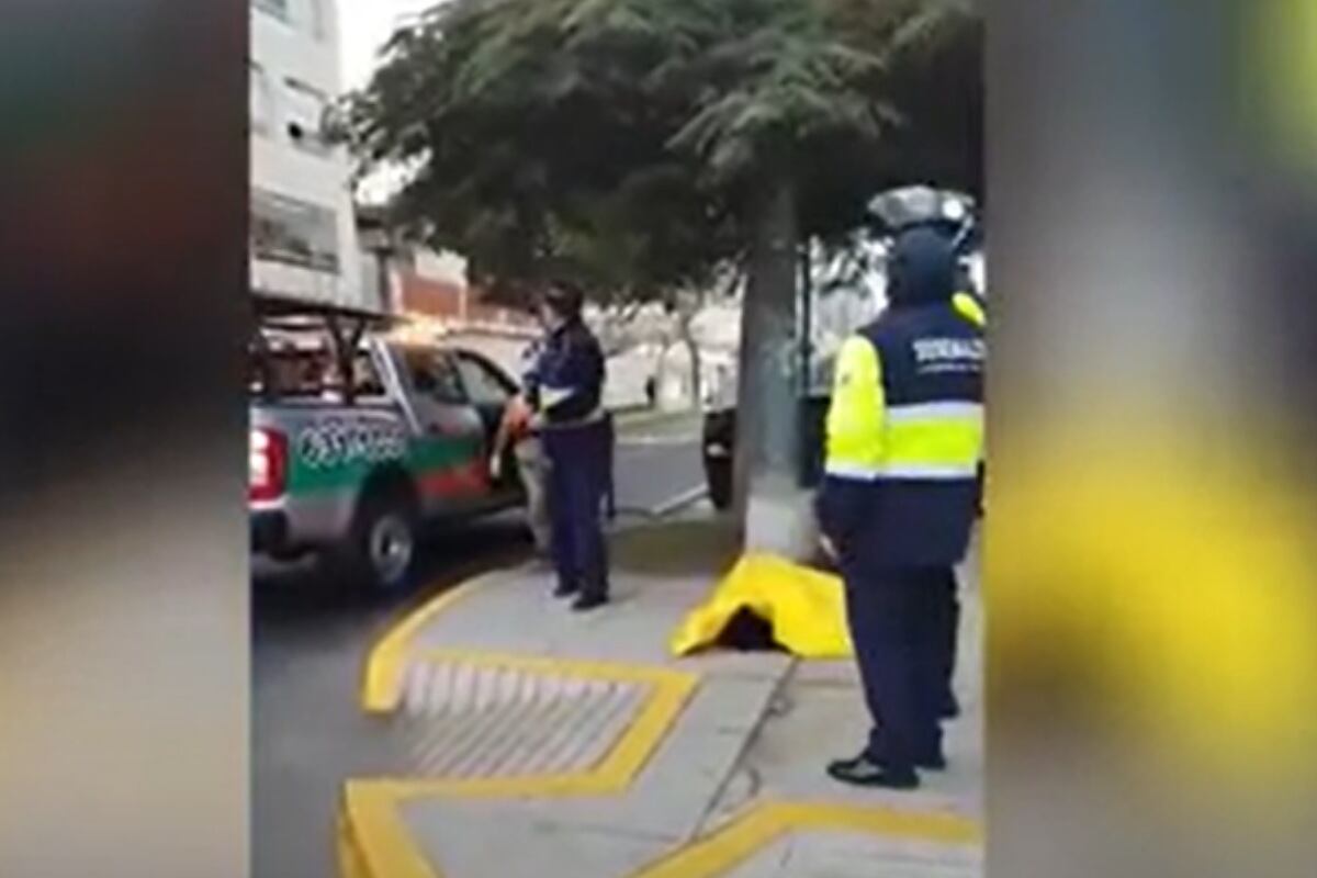 Una mujer fue asesinado mientras paseaba a su mascota. (Foto: Captura / Latina)