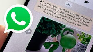 Cómo ver la foto que te enviaron en WhatsApp sin abrir la app