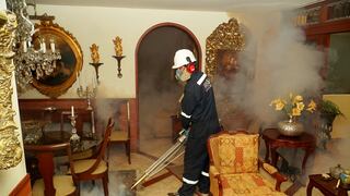 Lima es la ciudad con más casos dengue en el Perú: ¿A qué número llamar para recibir información gratuita sobre la enfermedad?