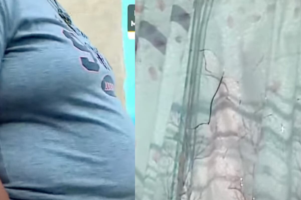 Un hombre con casco de moto lineal lanzó los explosivos contra la vivienda de dos pisos. Foto: composición EC/captura Latina Noticias