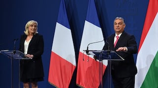 Los distintos grupos de derecha en el Parlamento Europeo y qué tienen que ver Milei y Putin