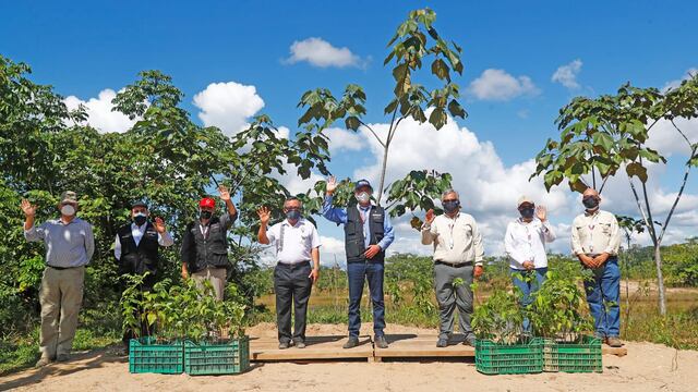 Reserva Nacional Tambopata: logran reforestar el 100 % de las zonas afectadas por la minería ilegal