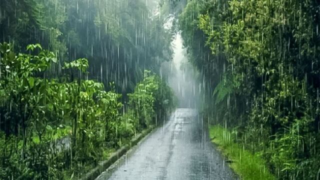 Senamhi: Selva soportará lluvias intensas de hasta 50 milímetros por día
