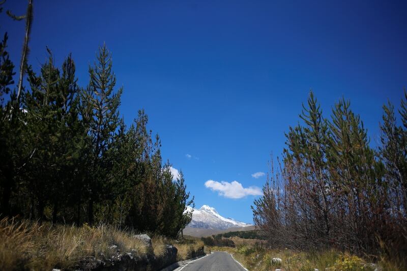 La entrada a la quebrada Quillcayhuanco se encuentra a 40 minutos de la ciudad de Huaraz, en el centro poblado de Pitec.
