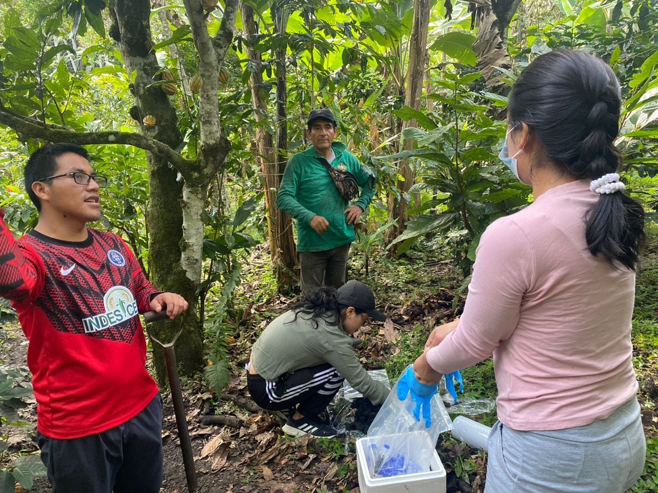 Estudiantes de posgrado y agricultores tomando muestras de hojas de cacao en Perú. Foto: cortesía INDES-CES