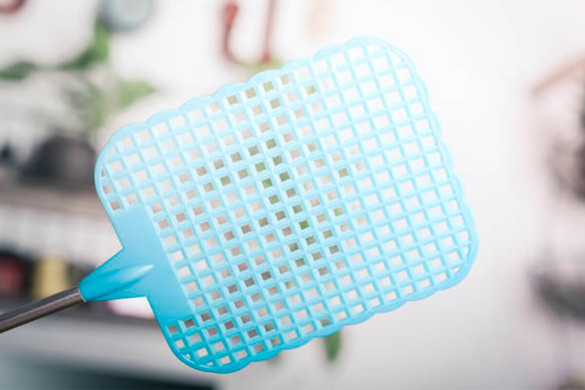 TRUCOS CASEROS | Un matamoscas llega a ser tan necesario como barato de conseguir. Su efectividad ha sido comprobada durante años. (Foto: @Freepick)