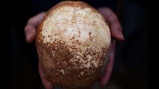 Cráneo sugiere que Homo sapiens pudo encontrarse con Neandertal