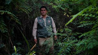 Nino Arteaga, el protector de los osos de anteojos en Chanchamayo