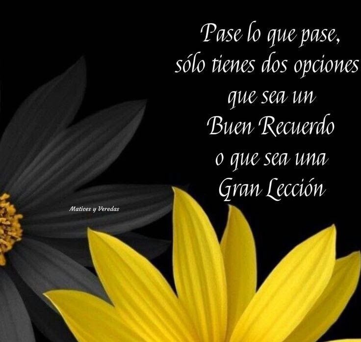 Mensaje con flores amarillas.