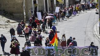 Bolivia: Cocaleros marchan en contra de nuevo mercado comercializador de la planta