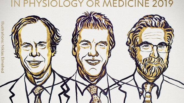 Nobel de Medicina es otorgado a estadounidenses William Kaelin y Gregg Semenza y británico Peter Ratcliffe
