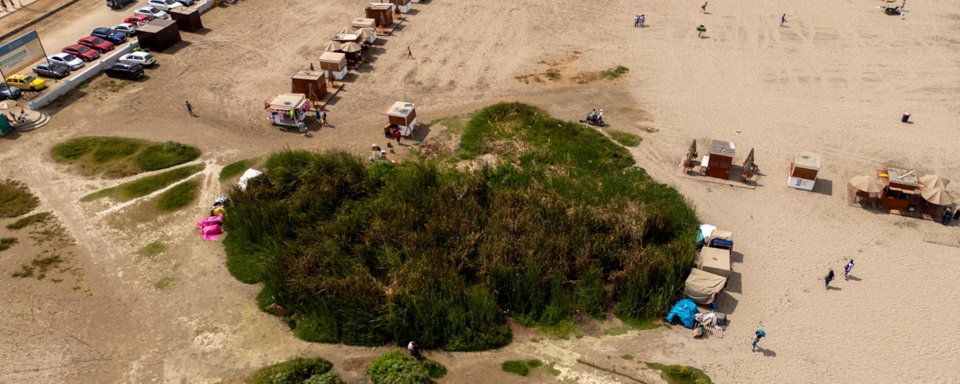 El humedal de la Costa Verde que se resiste a desaparecer: la historia de un ecosistema que debemos proteger