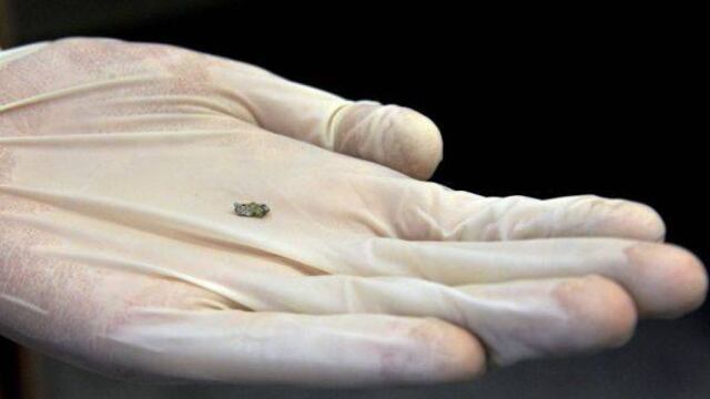 Rusos buscan piezas de meteorito que podrían costar más de US$ 2.200 por gramo