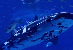 El dron Mantarraya tiene competencia: China desarrolla la primera ballena-robot