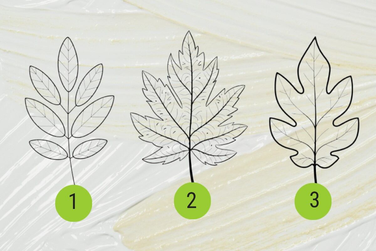 Escoge una de las hojas en esta imagen para conocer qué te depara el futuro ahora. (Imagen: El Comercio/Mag)