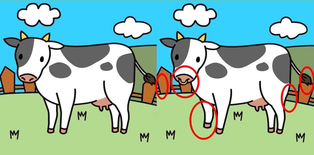 RETO VISUAL | Si te gustó participar en esta actividad, continúa y compártela con tus familiares y amigos para ver quién la resuelve en el menor tiempo.