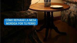 Cómo restaurar la mesa que mordió tu perro