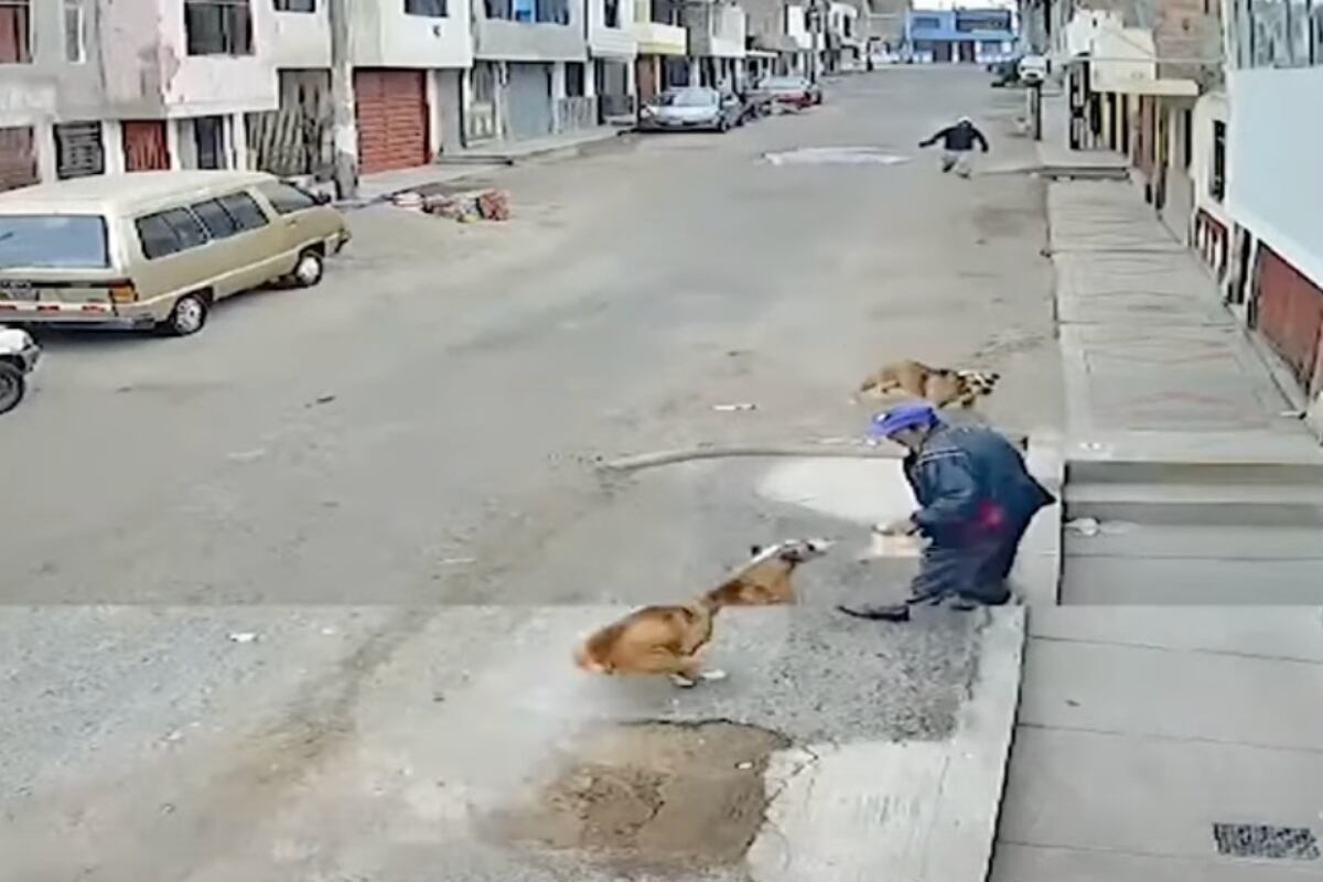 Vecinos revelaron que estos hechos son constantes. Foto: captura Buenos días Perú