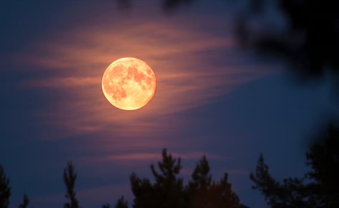 Los amantes de la astronomía podrán ver uno de los eventos más fascinantes del mes cuando la Luna Rosa ilumine el cielo este domingo 13 de abril.