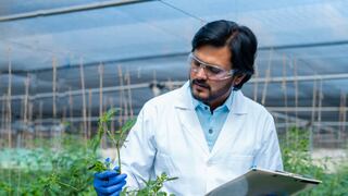 ¿No sabes a qué carrera postular? Mira cuál es la mejor pagada en Lima por encima de Medicina e Ingeniería, según el MTPE