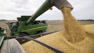Precio del trigo alcanzó su nivel más alto en casi 14 años por preocupación sobre escasez de suministros 