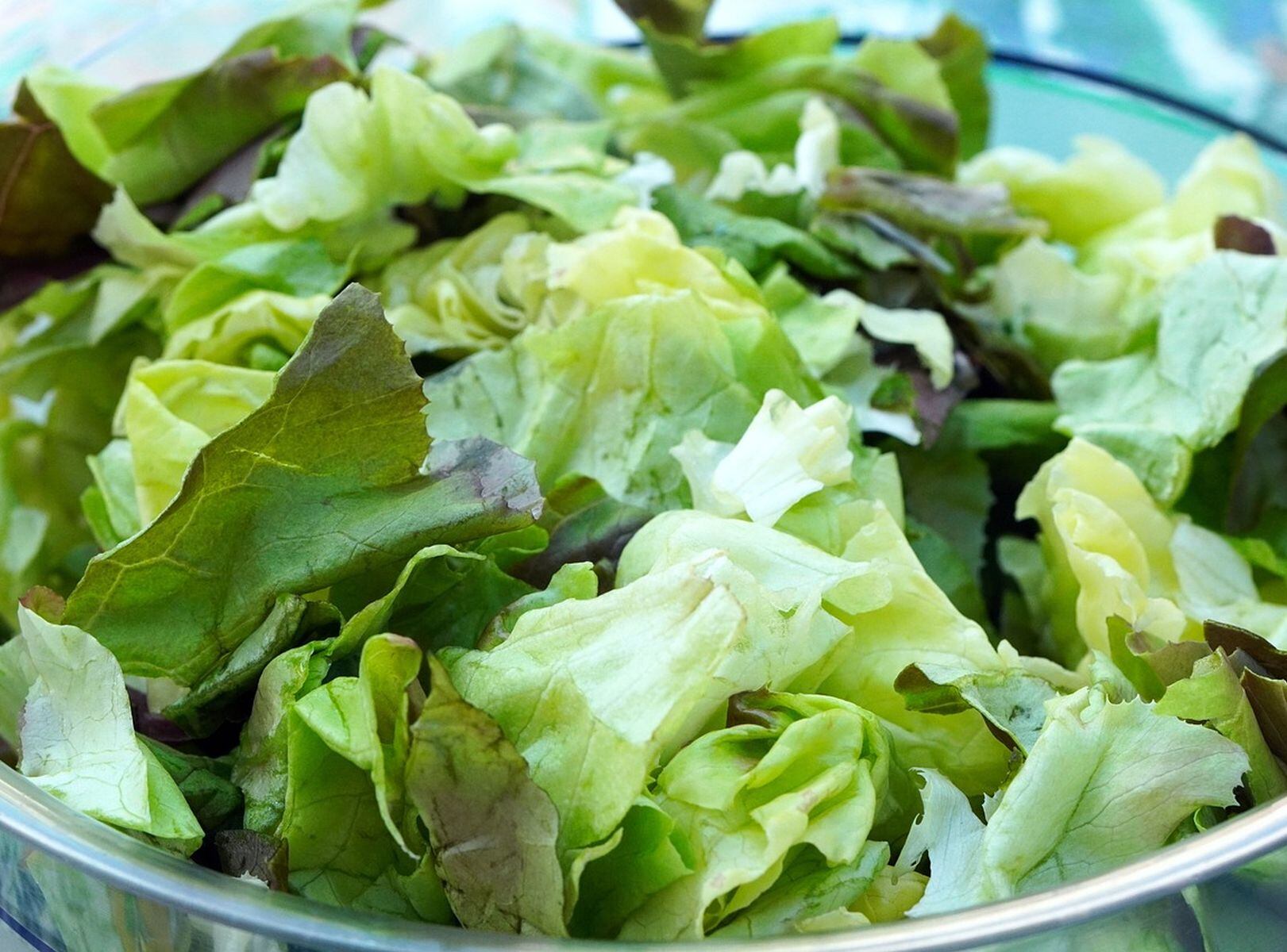 TRUCOS CASEROS | Es fundamental lavar bien la lechuga antes de comerla o de guardarla. (Foto: Matthias Böckel / Pixabay)