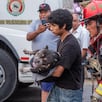 Rescatan con vida a perrito tras incendio en almacén de pirotécnicos en Ate