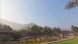 “El club de campo”: lee la columna semanal de Renato Cisneros