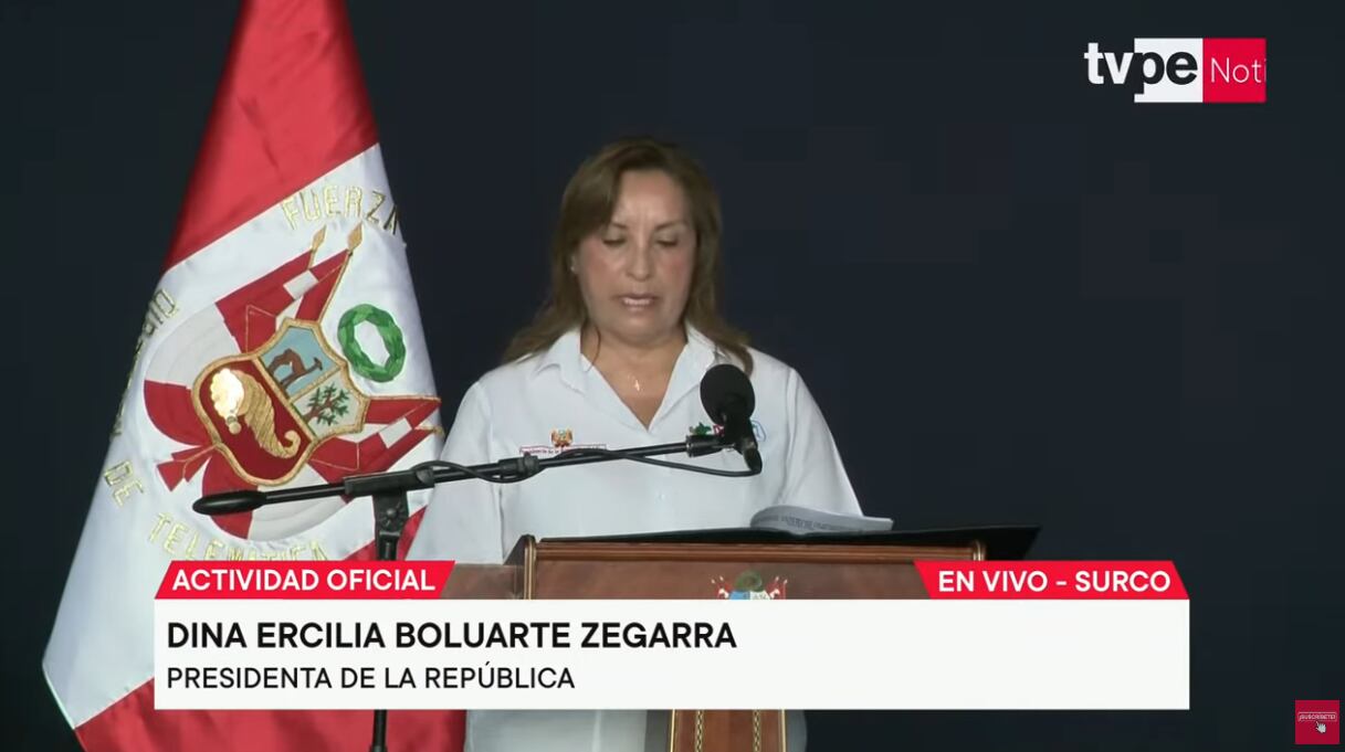 La mandataria se refirió al caso de la menor de 12 años que fue asesinada en un descampado en Villa María del Triunfo.