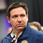 Polémica por ley firmada e impulsada por Ron DeSantis: de qué trata la HB 1471 de Florida sobre organizaciones terroristas que ya entró en vigor