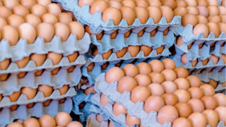 Estados Unidos importará huevos de estos dos países frente a la escasez por la gripe aviar