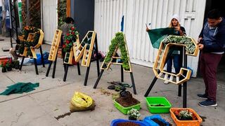 Rímac: escolares impulsan proyecto para construir jardines verticales