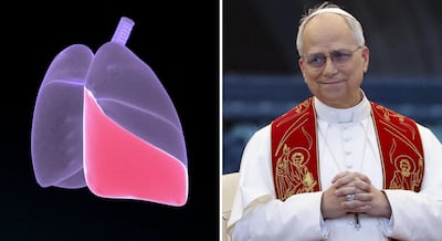 Radiografía confirma buena evolución del Papa León XIV